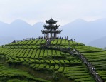 3休9的“拼假游”了！热门景点提前进入“假日模式”