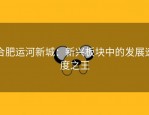 合肥运河新城：新兴板块中的发展速度之王