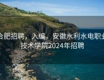 合肥招聘，入编，安徽水利水电职业技术学院2024年招聘