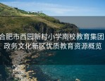 合肥市西园新村小学南校教育集团：政务文化新区优质教育资源概览