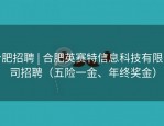 合肥招聘 | 合肥英赛特信息科技有限公司招聘（五险一金、年终奖金）