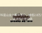 万科蓝山业主集体涨价，最低2.8万/㎡，滨湖房价新动态