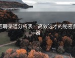 招聘渠道分析表：高效选才的秘密武器