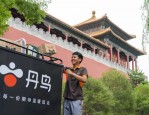 拆解落地配：详解其发展史及丹鸟品牌的业务模式与未来发展