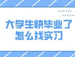 实习对大学生至关重要：不实习如同没上大学，增强求职竞争力