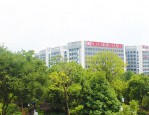 输卵管堵塞怎么治疗？手术还是吃药？费用多少？