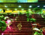 2025年上半年计算机软考安排公布！报名、核查、缴费时间定了