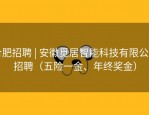 合肥招聘 | 安徽觅居智能科技有限公司招聘（五险一金、年终奖金）