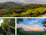 肥东店埠镇泉山将建新野生动物园，打造华东领先文旅名片