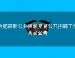 合肥高新公共资源交易公开招聘工作人员公告