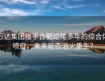 万达集团接手合肥烂尾多年的综合体项目，未来能否浴火重生？