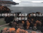 合肥楼市转凉？真相是：价格与品质才是关键