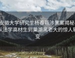 安徽大学研究生杨春燕涉黑案揭秘：从法学高材生到巢湖黑老大的惊人转变
