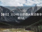 【春招】2024年合肥百大集团春季招聘6人
