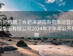 合肥招聘｜合肥滨湖国有资本运营控股集团有限公司2024年下半年公开招聘