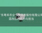 广东粤禾农业小额贷款股份有限公司：混改后的实力与担当