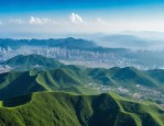 青鸟计划·唯才唯青岛2020年崂山区专场直播，3000余岗受热捧