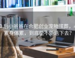 90 后小爸爸在合肥创业宠物殡葬，心累身体累，到底能不能活下去？