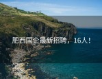 肥西国企最新招聘，16人！