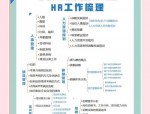 研发人力资源管理：选拔、培养、考核与职业发展双通道全解析