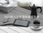2023年人力资源年度报告表
