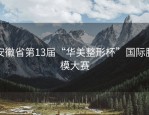 安徽省第13届“华美整形杯”国际胸模大赛
