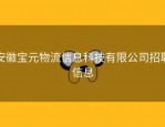 安徽宝元物流信息科技有限公司招聘信息