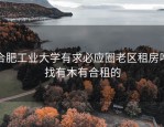 合肥工业大学有求必应圈老区租房咋找有木有合租的