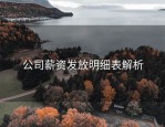 公司薪资发放明细表解析