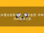 返乡置业安家合肥，意禾金茂·学林拾光成理想之选