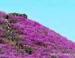 五一假期后多条热门航线机票价格大幅下降，部分低至一折
