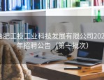 合肥工投工业科技发展有限公司2024年招聘公告（第一批次）