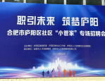 庐阳区“职引未来，筑梦庐阳”招聘会圆满落幕 —— 信睦公司携手共筑青年人才梦想