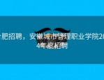 合肥招聘，安徽城市管理职业学院2024年度招聘