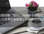 合肥招聘｜国企，2024年合肥包河区人力资源开发有限公司招聘16人公告