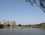 合肥 535 路公交线开通，解决撮镇镇居民出行难题，方便前往龙栖地湿地公园旅游踏青