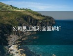 公司员工福利全面解析