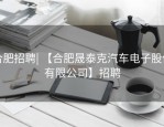 合肥招聘| 【合肥晟泰克汽车电子股份有限公司】招聘