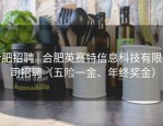 合肥招聘 | 合肥英赛特信息科技有限公司招聘（五险一金、年终奖金）