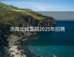济南北城医院2025年招聘