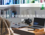 合肥招聘 | 安徽省徽商集团有限公司招聘