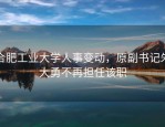 合肥工业大学人事变动，原副书记朱大勇不再担任该职