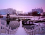 2020 年中国房地产市场分化加剧，不同城市楼市回暖进度各异