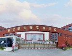 新滨湖寿春实验学校教师招聘公告