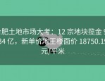 合肥土地市场大考：12 宗地块揽金 96.34 亿，新单价地王楼面价 18750.19 元/平米