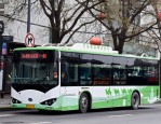 2024年12月24日起合肥44路、504路、513路公交线路调整详情及新走向