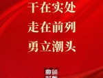 勇立潮头逐浪行：濮阳经营主体增长，民营经济贡献增大