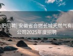 合肥招聘| 安徽省合燃长城天然气有限公司2025年度招聘