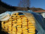 合肥美菱环保设备技术有限公司净水机涉嫌虚假宣传，多地村民被骗