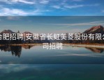 合肥招聘|安徽省长虹美菱股份有限公司招聘